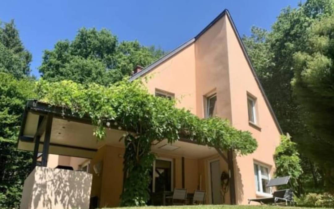 La Fontaine Aux Enfants - Gr5 - Chambre Avec Sdb Privee Abreschviller Exteriér fotografie